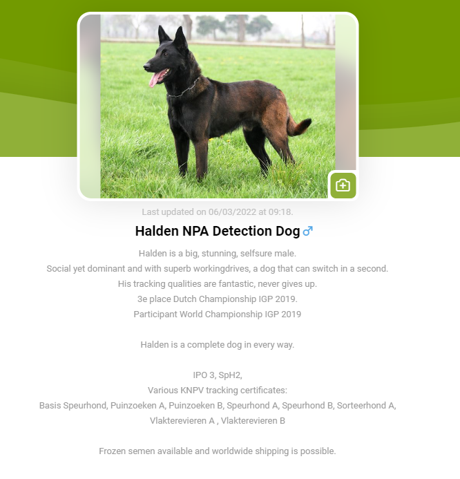 Halden NPA Detection Dog
